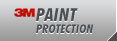 Paint protection